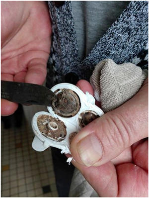 儿童水杯会发霉?汤美天地生产商召回300万儿