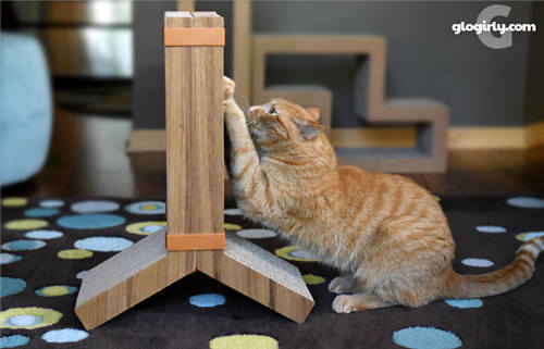 2016年这些宠物用品最好用,铲屎官们怎么看?