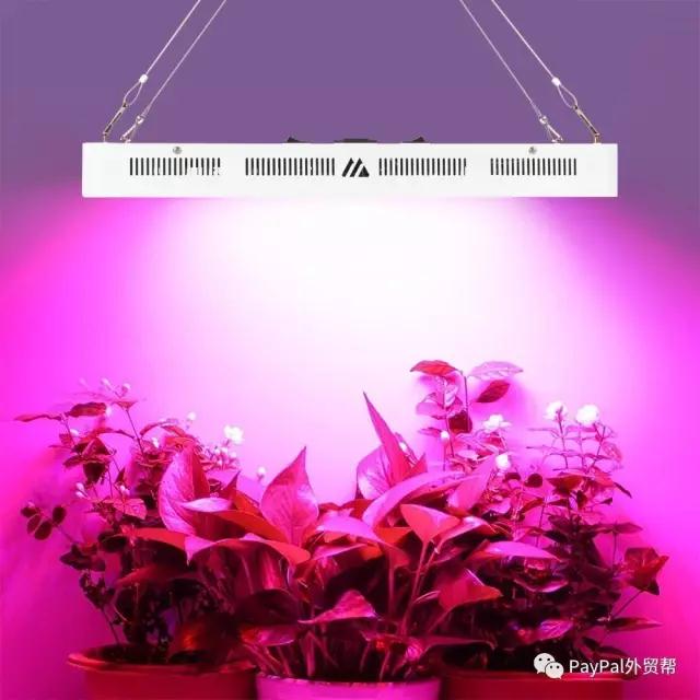 LEDơɨäƬгĳĴҵ±