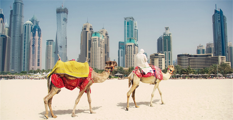 街头真实问卷调查,帮你揭开中东跨境电商市场