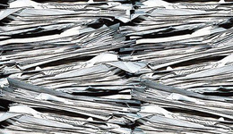 无纸化办公仍难以遏制纸张使用，澳大利亚每年耗纸420万吨