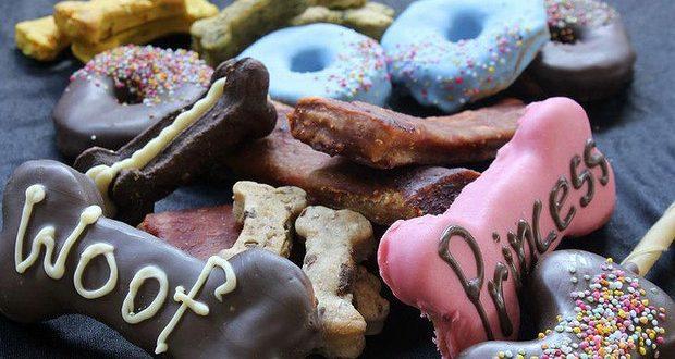 澳大利亚一家宠物咖啡店老板的生意经