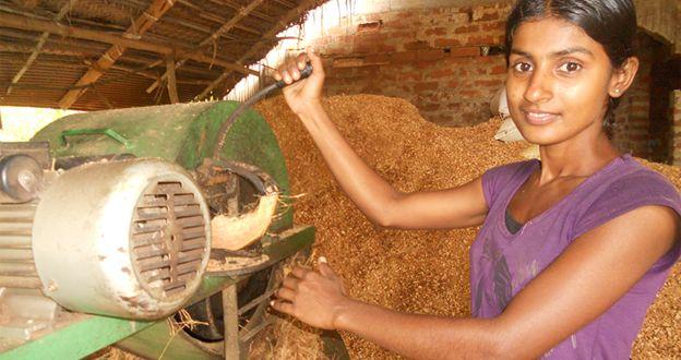 斯里兰卡一位25岁女孩的创业故事