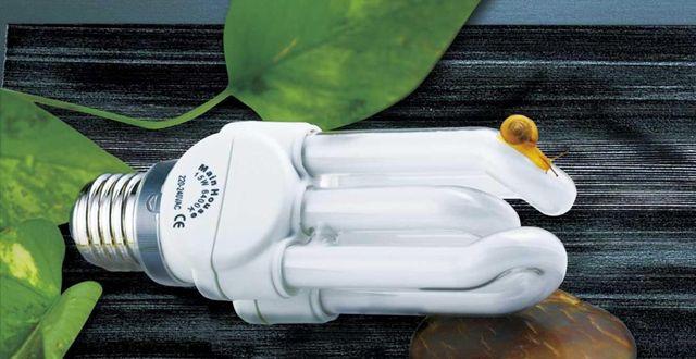 古巴节能灯市场需求巨大，700万只节能灯近日投放市场