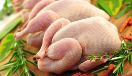 南非人爱吃鸡肉,欧洲大量无骨鸡肉涌入或遭反倾销