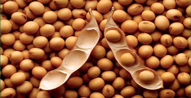 巴西开设农牧产品资讯平台，中国进口商可通过平台寻找货源