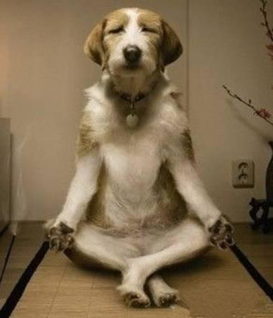 外贸吐槽2：印度，一个神奇的国家