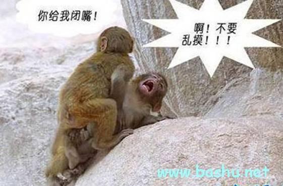 外贸吐槽2：印度，一个神奇的国家