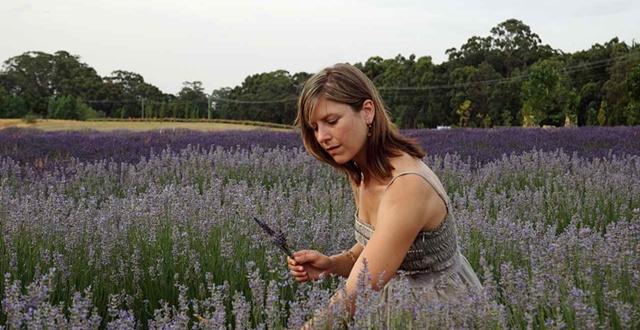 意大利：投资农场的外国人越来越多