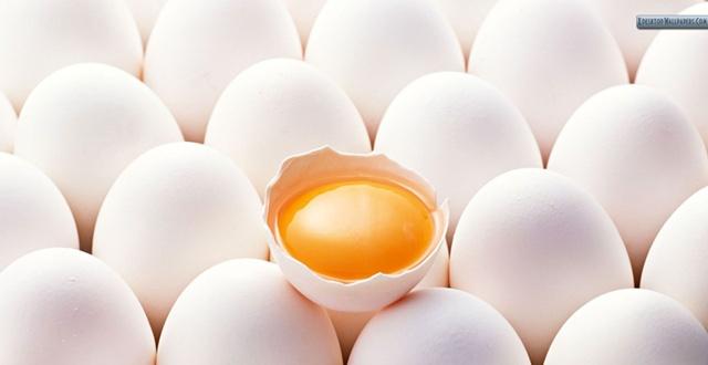 禽流感爆发，恐现澳大利亚圣诞节恐现“鸡蛋荒”