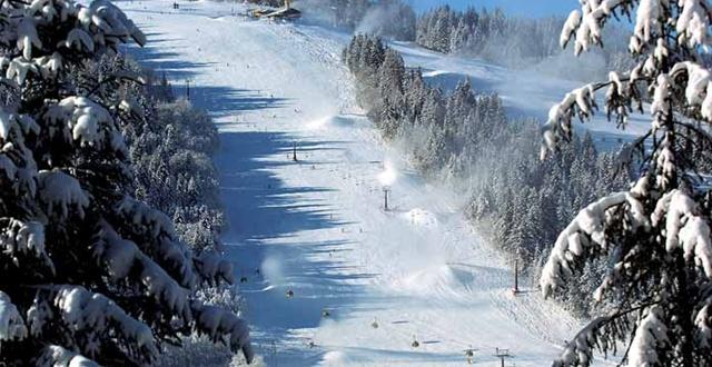 奥地利:“人工造雪”行业商机巨大 奥地利:“人工造雪”行业商机巨大