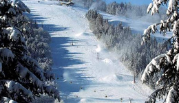 奥地利：“人工造雪”行业商机巨大
