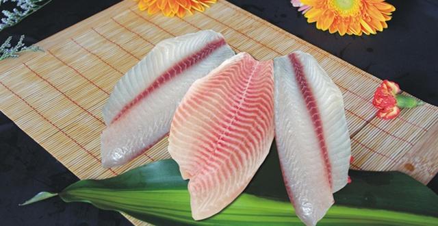 巴西改良罗非鱼基因，欲大规模提升产量