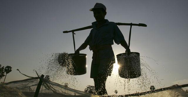 柬埔寨欲引入美式农业设备，推动农业现代化