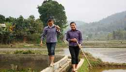 越南大力兴修水利，中部地区要建950个灌溉工程
