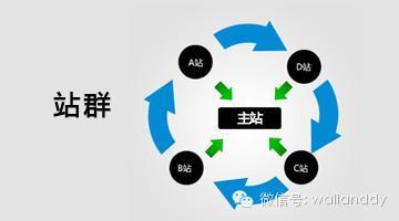 跨境电商案例：沃蓝为什么放弃“站群策略”？
