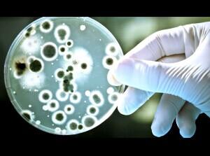 美国公司推出紫外线除臭鞋,15分钟内除菌 美国公司推出紫外线除臭鞋,15分钟内除菌