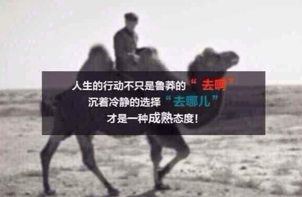 听说，网上那场营销+公关大战，杀进外贸界了……