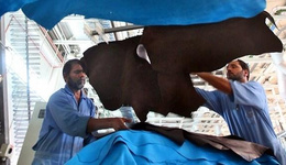 阿联酋引领海湾地区皮革产业，骆驼皮产品引人注目