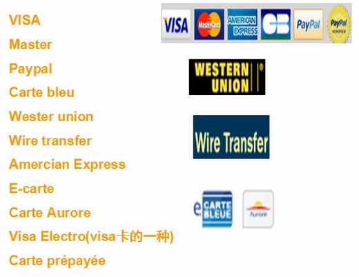 跨境电商法语市场数据和发力点分析