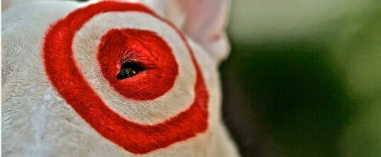 外媒总结黑五超强攻略，看地道美国人怎样正确地买买买！