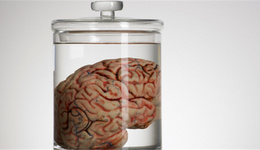 美国：男子从医学博物馆偷出脑器官，放到eBay上卖