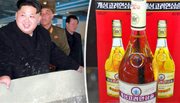 朝鲜研制出一款不会宿醉的酒,还能治愈癌症、艾滋和埃博拉?