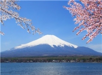 【雨果揭秘NO.2】日本亚马逊FBA头程:货物信息完备通关效率才会快