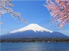 【雨果揭秘NO.2】日本亞馬遜FBA頭程：貨物信息完備通關(guān)效率才會快