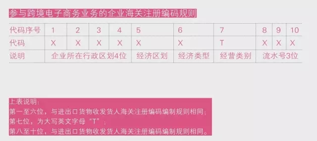 【解析】跨境新政后，企业如何才能做好“信息登记”？