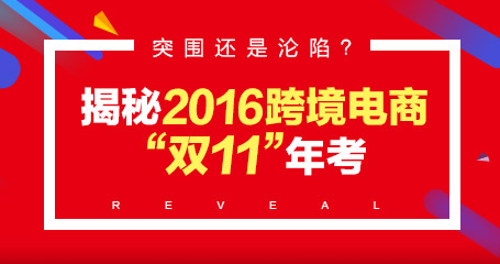 2020跨境电商“双11”年考