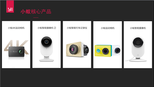 蚍蜉撼大树，小蚁出海记 