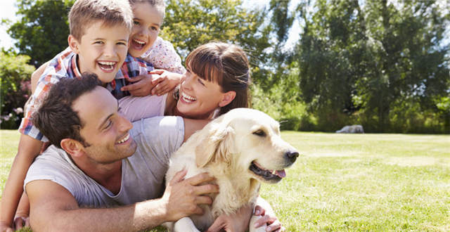 2016年这些宠物用品最好用，铲屎官们怎么看？