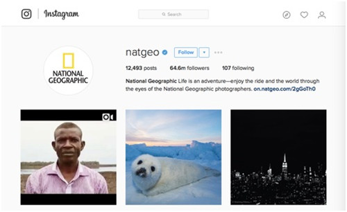 成功可以复制！Instagram上最受欢迎的13个品牌