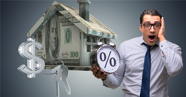 有棵树再获4亿融资，三轮融资累计近10亿 