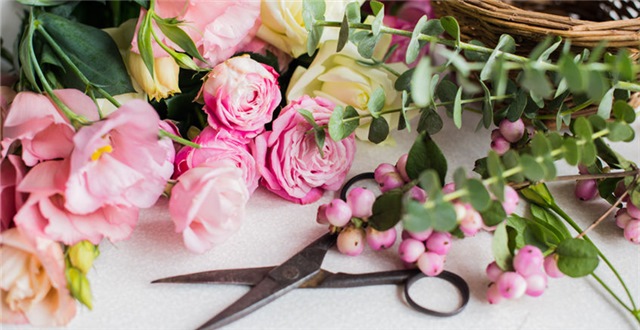 澳洲妈妈在线创业销售个人护理用品，年营收达2000万澳元