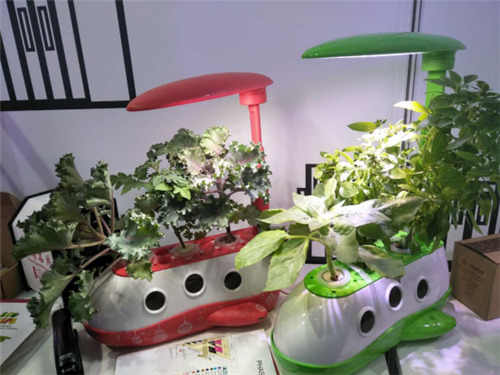 直击第121届广交会：小小照明灯，竟然让亚马逊主动抛出“橄榄枝”