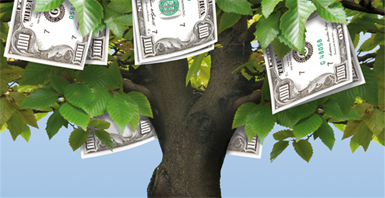 天澤信息擬并購(gòu)深圳有棵樹，完善產(chǎn)業(yè)布局共享跨境電商發(fā)展紅利