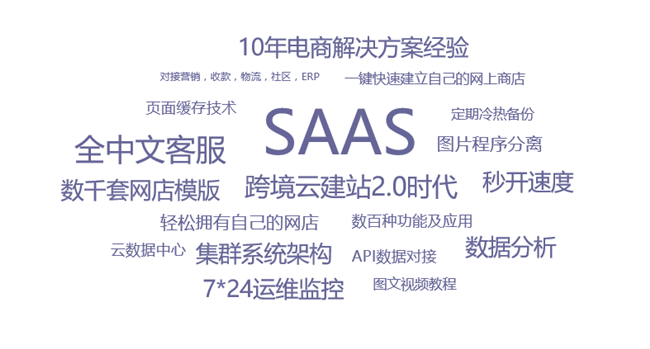 跨境电商新式玩法：独立站+平台强强联袂