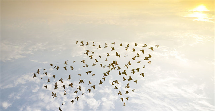 2017年底，1500家马来西亚中小企业将入驻阿里电商平台