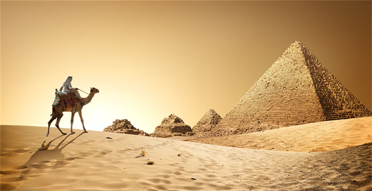 全民响应一带一路，企业家也来助阵！