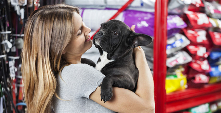 亚马逊美国站宠物用品爆款分析，宠物床BSR飚升四天！