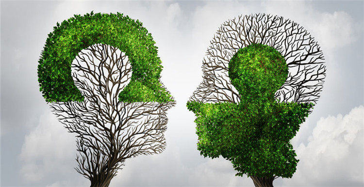 阿里巴巴的全球扩张计划，要在美国同亚马逊一较高下？