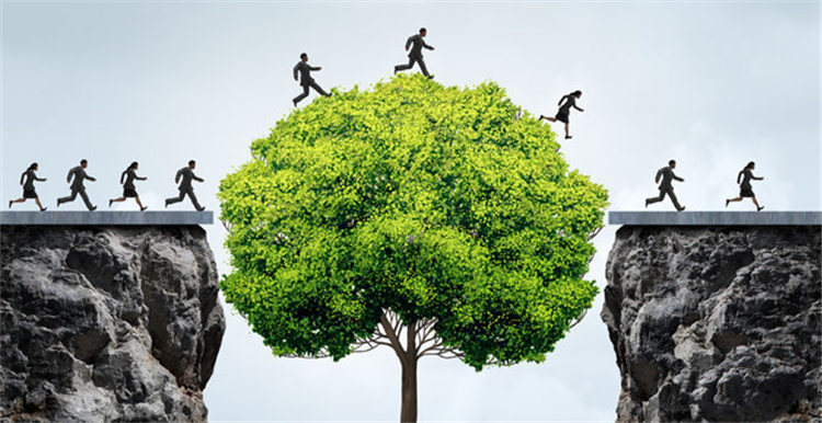 Zilingo创始人Ankiti Bose：只要不卖假货、不是欺诈卖家，就能入驻平台