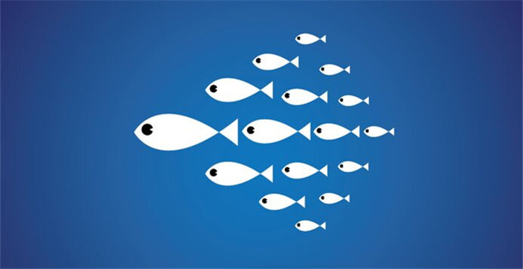 ​从0到1000单，“金鱼理论”是你不了解的大卖运营思维