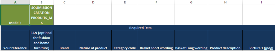 Cdiscount平台批量创建/上传产品的步骤详解