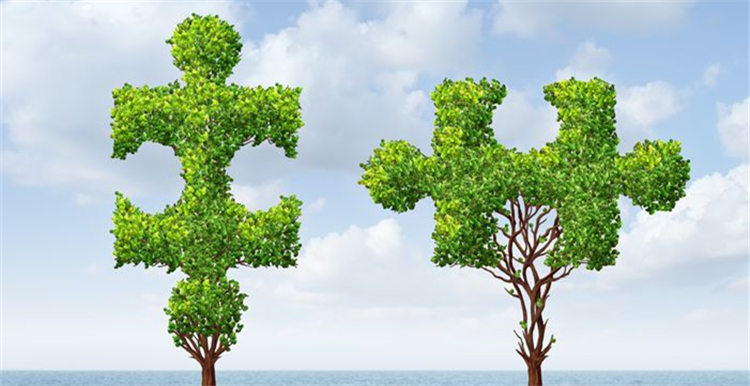 Flipkart出高价收购Snapdeal遭拒，印度两大电商巨头合并进程推迟