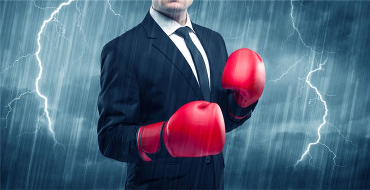 亚马逊美国Prime会员增长近35%，新蛋、Kohl's等零售商欲与其争利