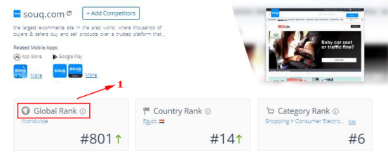 扒一扒中东电商平台Souq的流量来源分布