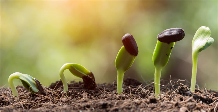 实体店频频倒闭，零售业迎来末日还是浴火重生？